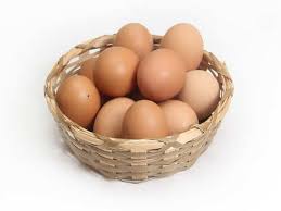 Normal Eggs