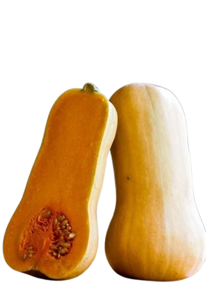 Butternut Squash